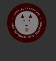 Fido Personal Dog Training